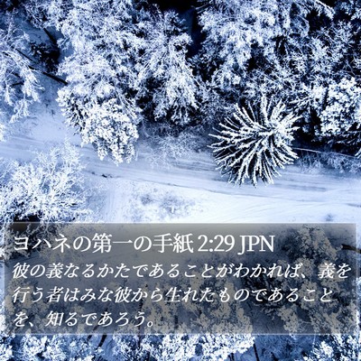 ヨハネの第一の手紙 2:29 JPN Bible Verse Image