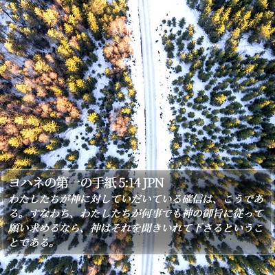 ヨハネの第一の手紙 5:14 JPN Bible Verse Image