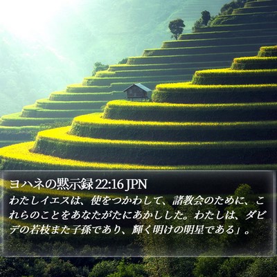 ヨハネの黙示録 22:16 JPN Bible Verse Image