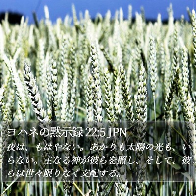 ヨハネの黙示録 22:5 JPN Bible Verse Image