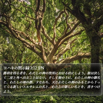 ヨハネの黙示録 3:12 JPN Bible Verse Image