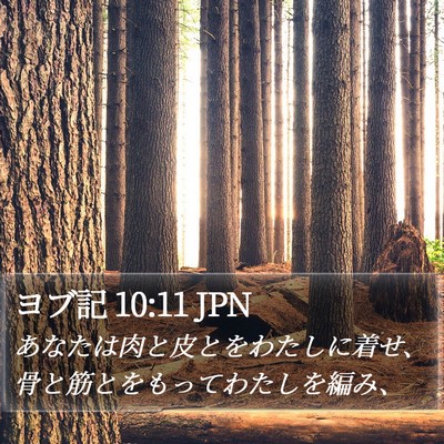 ヨブ記 10:11 JPN Bible Verse Image