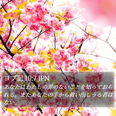 ヨブ記 10:7 JPN Bible Verse Image