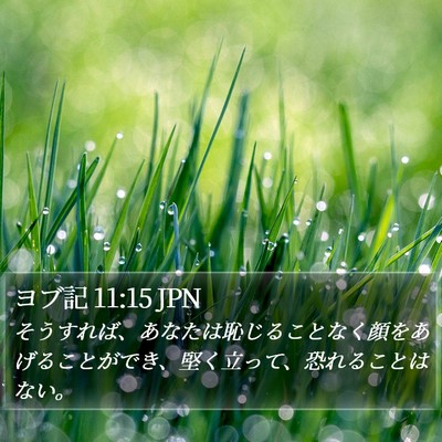 ヨブ記 11:15 JPN Bible Verse Image