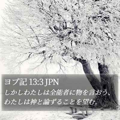 ヨブ記 13:3 JPN Bible Verse Image