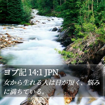 ヨブ記 14:1 JPN Bible Verse Image