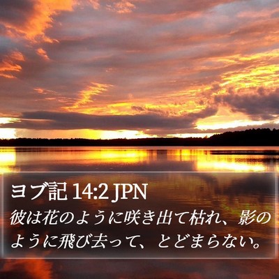 ヨブ記 14:2 JPN Bible Verse Image