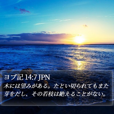 ヨブ記 14:7 JPN Bible Verse Image