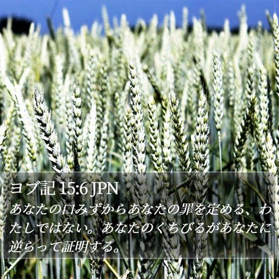 ヨブ記 15:6 JPN Bible Verse Image