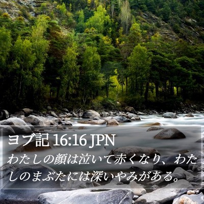 ヨブ記 16:16 JPN Bible Verse Image