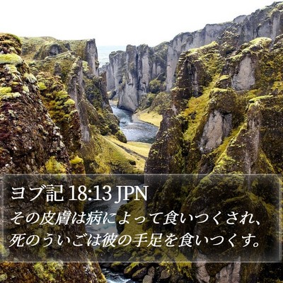 ヨブ記 18:13 JPN Bible Verse Image