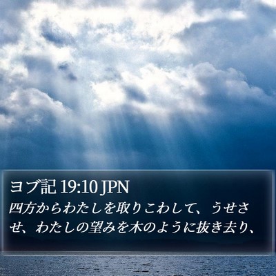 ヨブ記 19:10 JPN Bible Verse Image