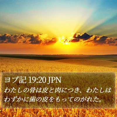 ヨブ記 19:20 JPN Bible Verse Image