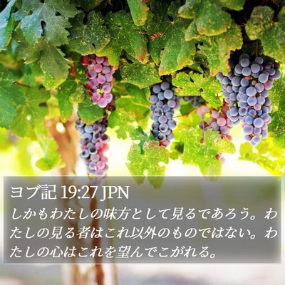 ヨブ記 19:27 JPN Bible Verse Image