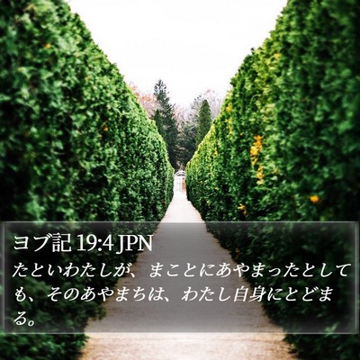 ヨブ記 19:4 JPN Bible Verse Image