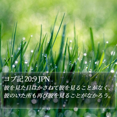 ヨブ記 20:9 JPN Bible Verse Image