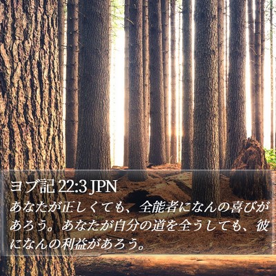 ヨブ記 22:3 JPN Bible Verse Image