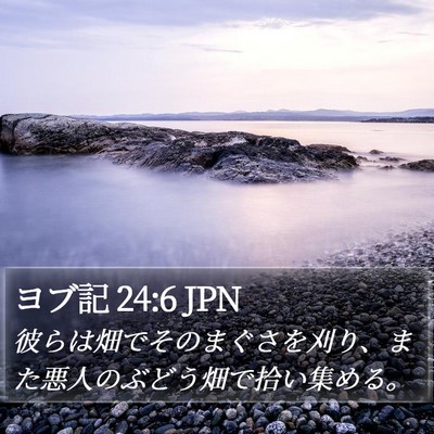 ヨブ記 24:6 JPN Bible Verse Image