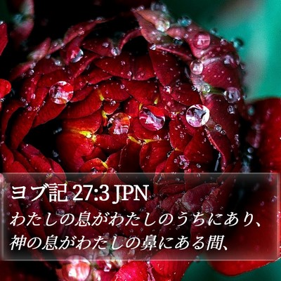 ヨブ記 27:3 JPN Bible Verse Image