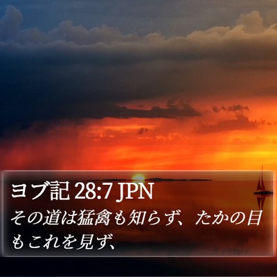 ヨブ記 28:7 JPN Bible Verse Image