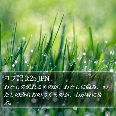 ヨブ記 3:25 JPN Bible Verse Image