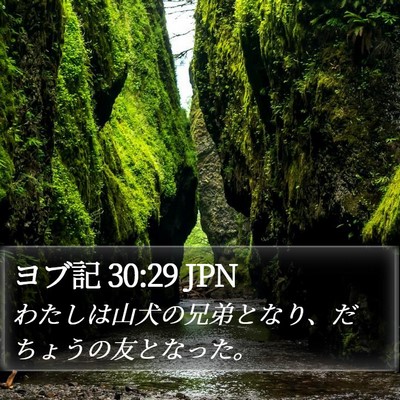 ヨブ記 30:29 JPN Bible Verse Image