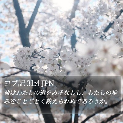 ヨブ記 31:4 JPN Bible Verse Image