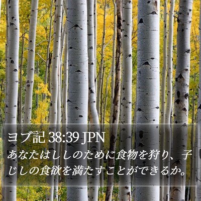 ヨブ記 38:39 JPN Bible Verse Image