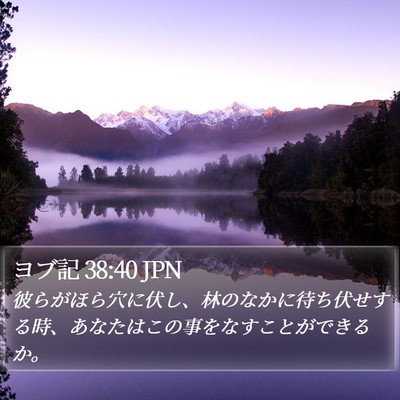 ヨブ記 38:40 JPN Bible Verse Image