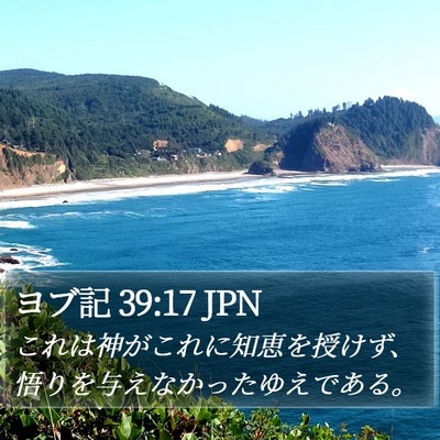 ヨブ記 39:17 JPN Bible Verse Image