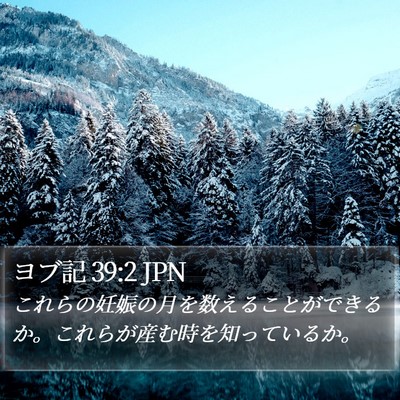 ヨブ記 39:2 JPN Bible Verse Image
