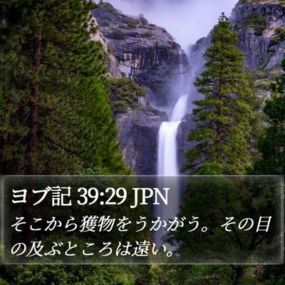ヨブ記 39:29 JPN Bible Verse Image