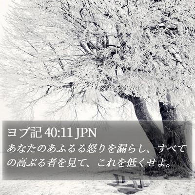ヨブ記 40:11 JPN Bible Verse Image