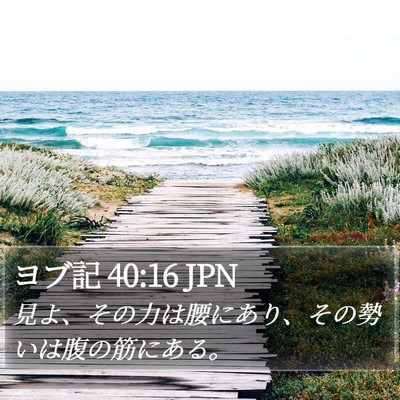 ヨブ記 40:16 JPN Bible Verse Image