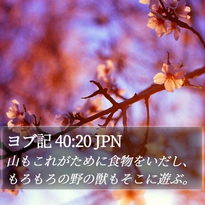 ヨブ記 40:20 JPN Bible Verse Image