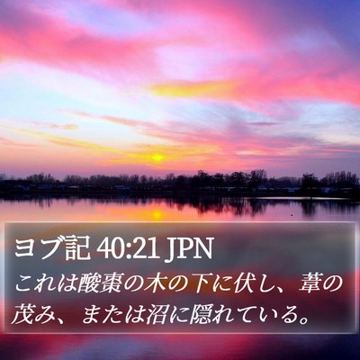 ヨブ記 40:21 JPN Bible Verse Image