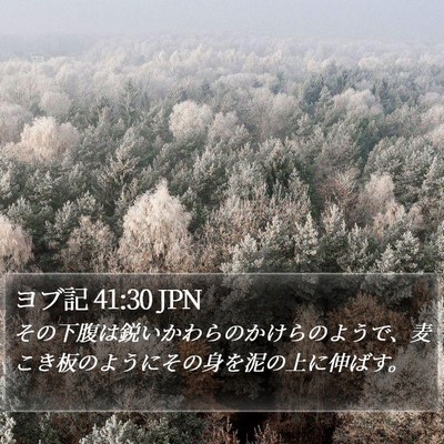 ヨブ記 41:30 JPN Bible Verse Image
