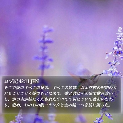 ヨブ記 42:11 JPN Bible Verse Image