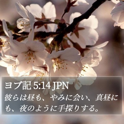 ヨブ記 5:14 JPN Bible Verse Image