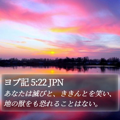 ヨブ記 5:22 JPN Bible Verse Image