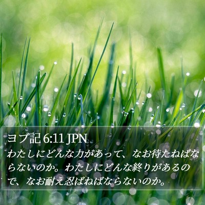 ヨブ記 6:11 JPN Bible Verse Image
