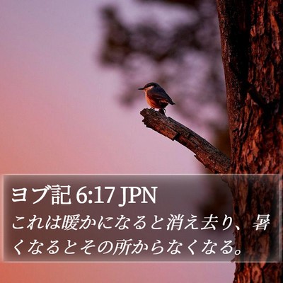 ヨブ記 6:17 JPN Bible Verse Image