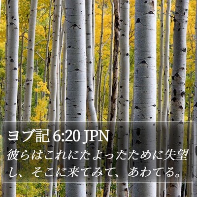ヨブ記 6:20 JPN Bible Verse Image