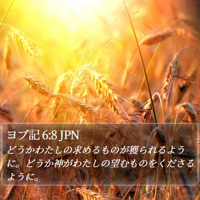 ヨブ記 6:8 JPN Bible Verse Image