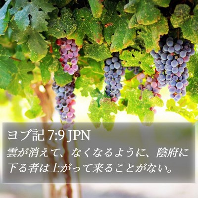 ヨブ記 7:9 JPN Bible Verse Image