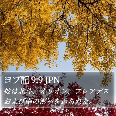 ヨブ記 9:9 JPN Bible Verse Image