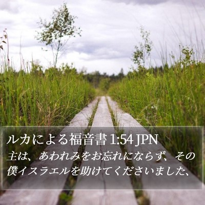 ルカによる福音書 1:54 JPN Bible Verse Image