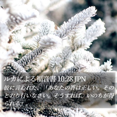 ルカによる福音書 10:28 JPN Bible Verse Image