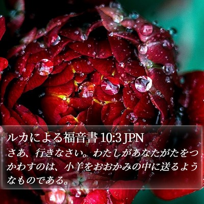 ルカによる福音書 10:3 JPN Bible Verse Image
