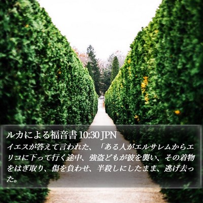 ルカによる福音書 10:30 JPN Bible Verse Image